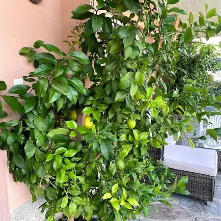 The Lemon Trees House Apartment Lugano Exterior photo