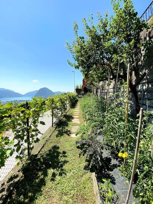 अपार्टमेंट The Lemon Trees House Lugano