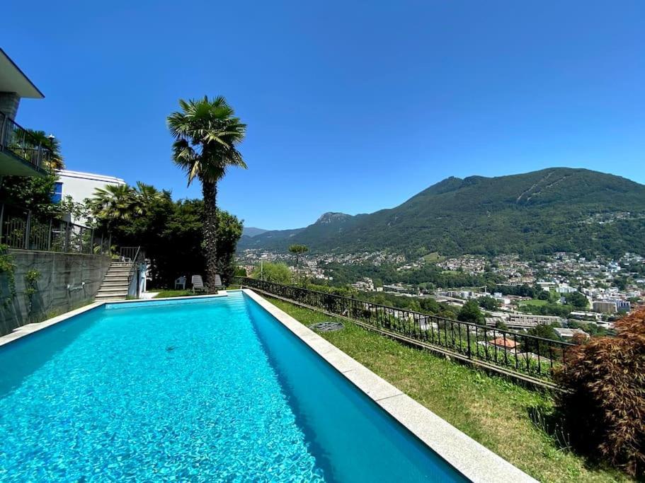 The Lemon Trees House *